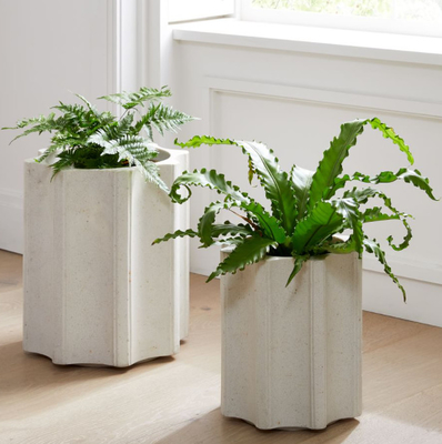 Plastik-Rotomoulding-Blumen-Topf und Pflanzer mit Soem-Service