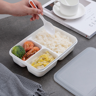 Eco freundliches BPA freie pp. Plastik-Bento Lunch Box For Kids