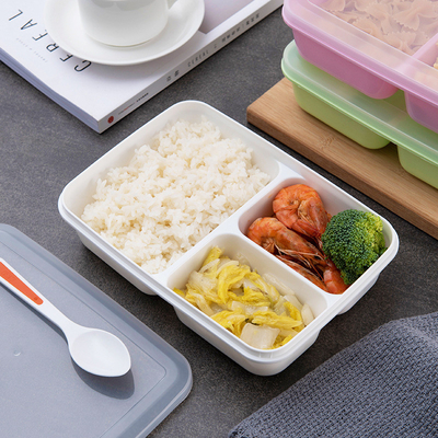 Kinderwiederverwendbare Plastikmittagessen-Behälter, BPA freier Bento Lunch Box